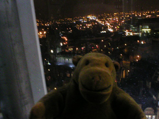 Mr Monkey looking towards Salford