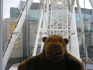 Mr Monkey looking at the inside of the wheel