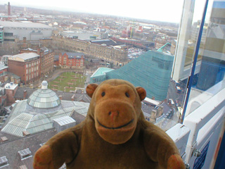 Mr Monkey looking towards Strangeways