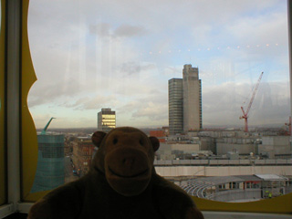 Mr Monkey looking North across Manchester