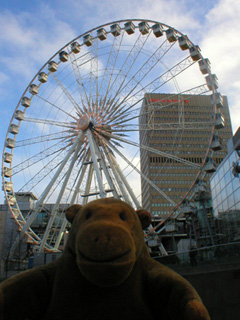 Mr Monkey looking at the wheel