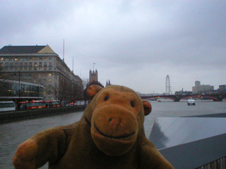 Mr Monkey watching a passenger catamaran arrive at Millbank Pier