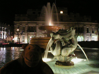 Mr Monkey looking at a Trafalgar Square fountain at night