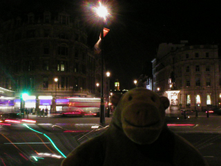 Mr Monkey watching traffic at night