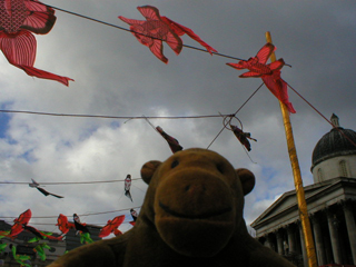 Mr Monkey beneath some paper butterflies