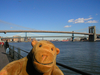 Mr Monkey looking at the Brooklyn Bridge