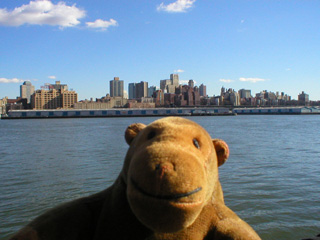 Mr Monkey looking at Brooklyn