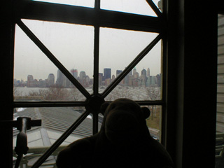 Mr Monkey looking toward Manhattan