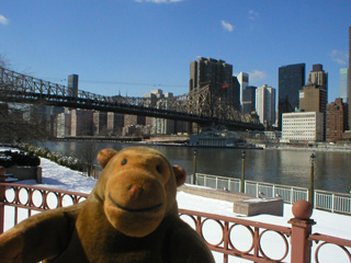 Mr Monkey looking at the Upper East Side from Roosevelt Island