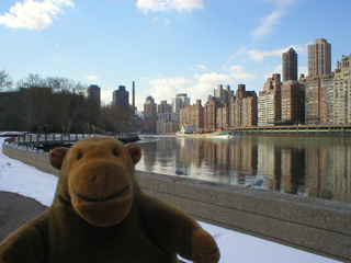 Mr Monkey watching a ship in the West Channel