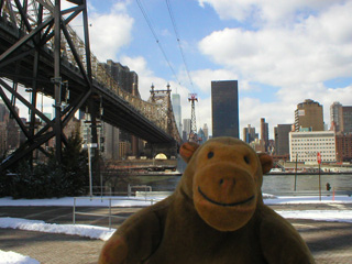 Mr Monkey looking across the East River