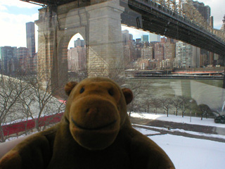 Mr Monkey looking towards the Queensborough Bridge from the tram