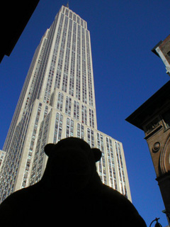 Mr Monkey looking at the Empire State Building from across the avenue