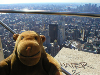Mr Monkey looking down on Manhattan