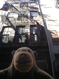 Mr Monkey looking up at the fire escape of a Cortland Street building