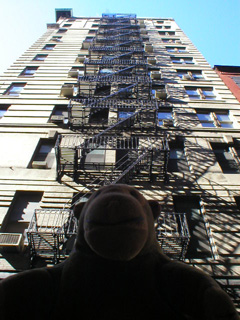 Mr Monkey looking at a tall fire escape