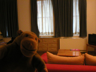 Mr Monkey inside his hotel room