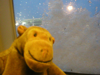 Mr Monkey with a snow covered plane window