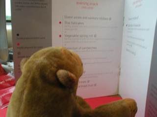 Mr Monkey examining the menu on the train