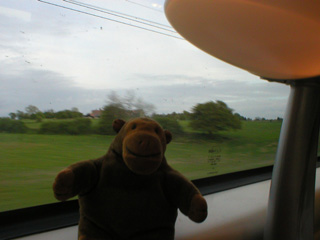 Mr Monkey watching the countryside go past