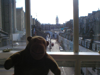 Mr Monkey looking out of his hotel window in the morning