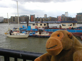 Mr Monkey watching a yacht being refuelled