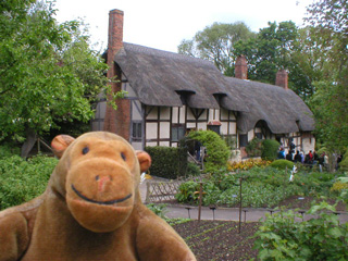 Mr Monkey looking at the vegetable plot