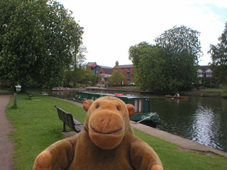 Mr Monkey watching the ferry and a rowing boat on the river