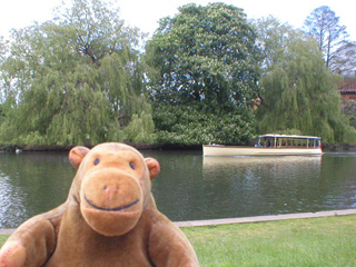 Mr Monkey watching a boat on the river