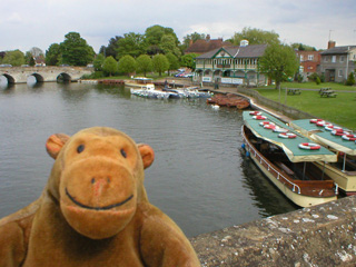 Mr Monkey looking down on the river from the Tramway Bridge