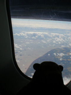 Mr Monkey looking down at the English coast