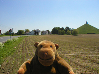 Mr Monkey looking towards the Lion Mound