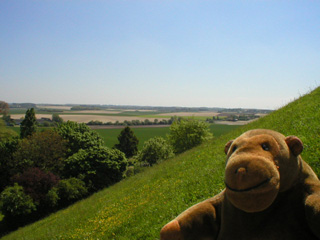 Mr Monkey looking off the side of the Lion Mound