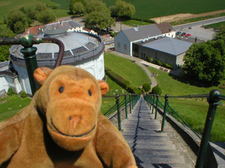 Mr Monkey looking down on the Panorama and the Visitor Centre
