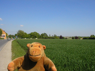 Mr Monkey walking towards the Chaussée de Charleroi