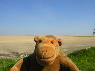 Mr Monkey looking across a field