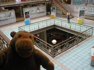 Mr Monkey looking down from the top floor of the centre
