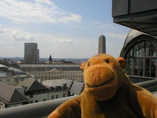 Mr Monkey looking across Brussels from the roof of the MIM