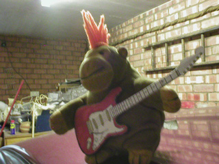 Mr Monkey playing electric guitar in the garage