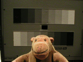 Mr Monkey in front of a black and white testcard