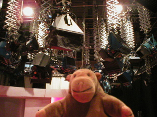 Mr Monkey looking at the studio lighting