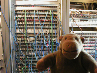 Mr Monkey in front of a jumble of cables