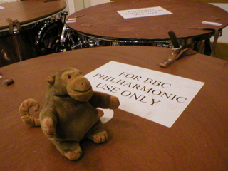 Mr Monkey sitting on the wooden cover atop a kettle drum