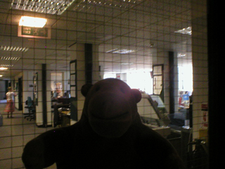 Mr Monkey peering through a door at Radio 4
