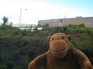 Mr Monkey the other side of some bushes from Edinburgh airport