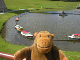 Mr Monkey deciding which radio-controlled boat to pilot