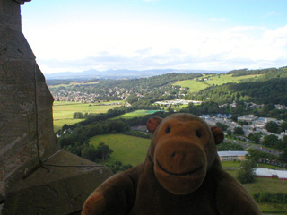 Mr Monkey looking past Stirling University