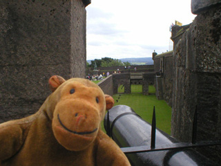 Mr Monkey looking down at the bridge from the French Spur