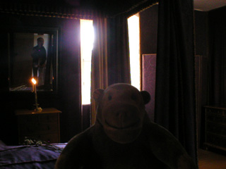 Mr Monkey in the main bedroom