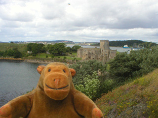 Mr Monkey looking towards the Abbey from the hill in the east